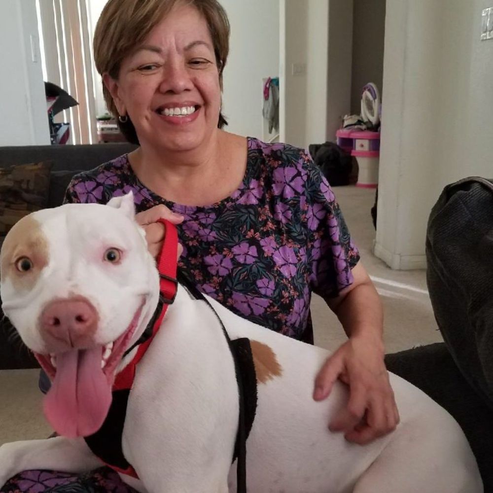 Meet your Posher, Zena